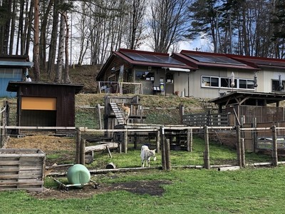 sIMG_3175.jpg