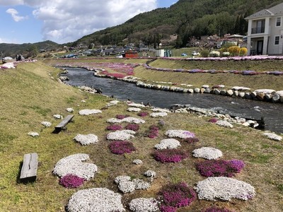 sIMG_3190.jpg