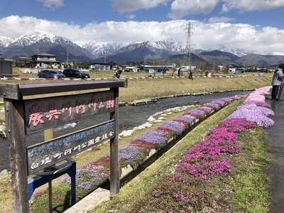 sIMG_3195.jpg
