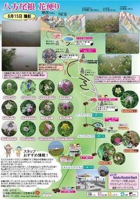 花だより818