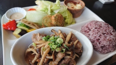 ももっかランチ