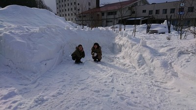 マシュマロナイト