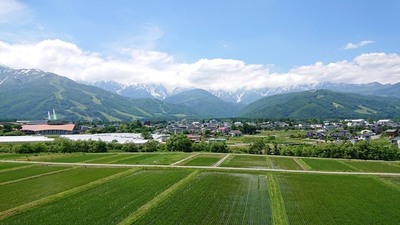 6月26日の天神坂の様子