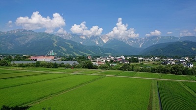夏っぽい!!