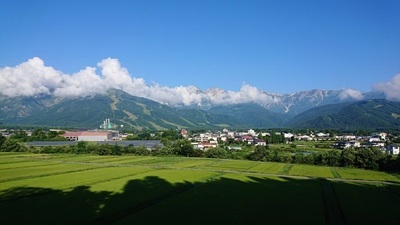 46642.jpg