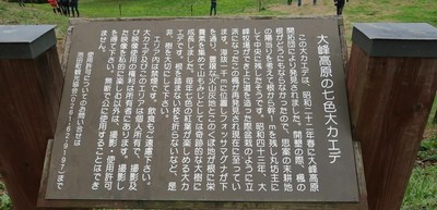七色カエデ