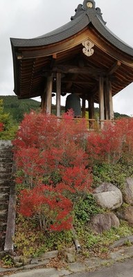 七色カエデ