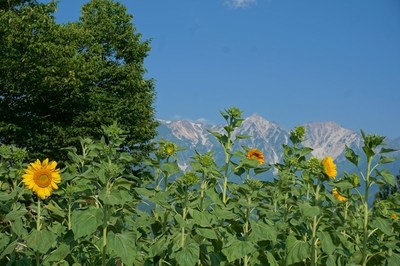 DSC01177.jpg