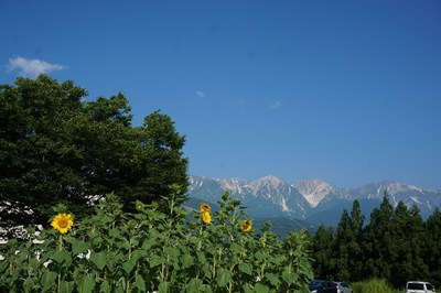 白馬の夏景色