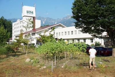 白馬の夏景色