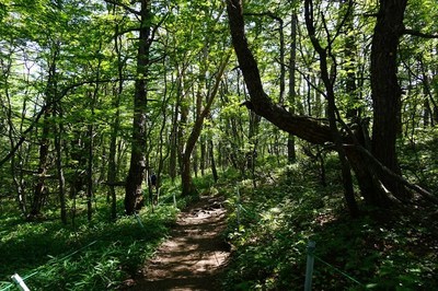 東篭の塔山