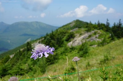 東篭の塔山