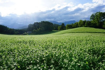 中山高原