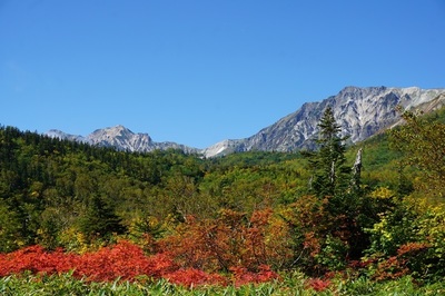 自然園の紅葉2
