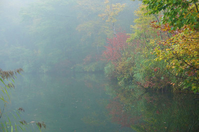 鎌池
