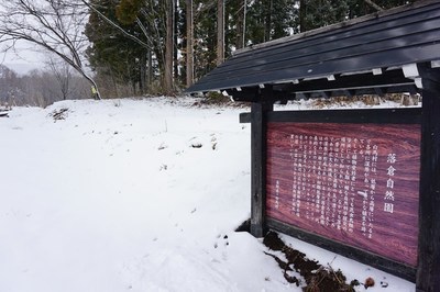 【花情報】落倉自然園