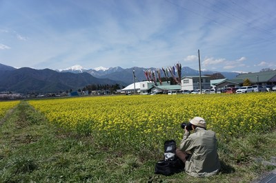 DSC04632.jpg