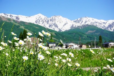 写真な一日