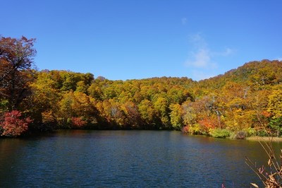 鎌池
