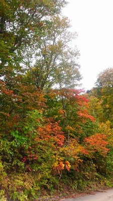 乙見山峠