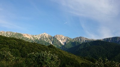 寒い朝
