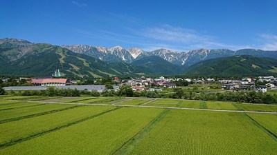 寒い朝