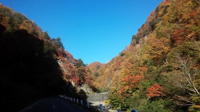 奥裾花