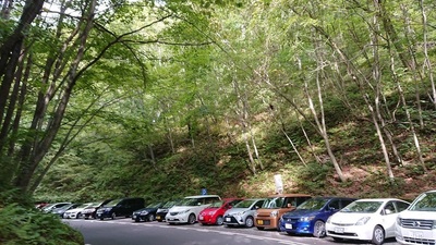DSC_0252sm.jpg