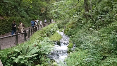 DSC_0259sm.jpg