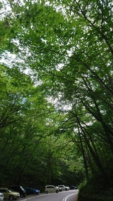 DSC_0265sm.jpg
