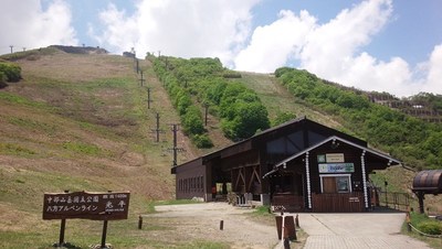 2019八方