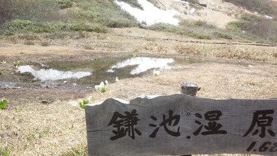 2019八方