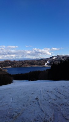 DSC_1390.JPG