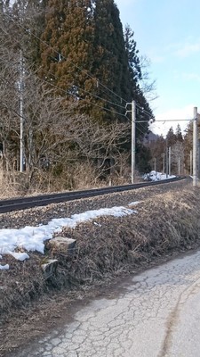 DSC_1401.JPG