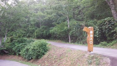 DSC_1664.jpg