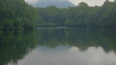DSC_1675.jpg