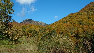 鎌池