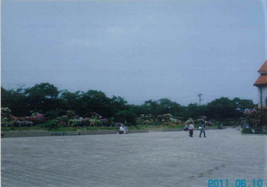 広い園内.jpg