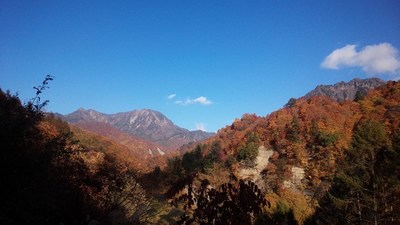 奥裾花