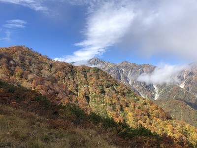 五竜の紅葉
