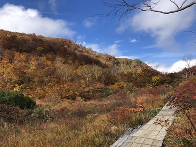 五竜の紅葉