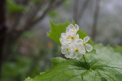 雨の日にオススメ