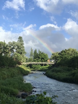 朝の散歩