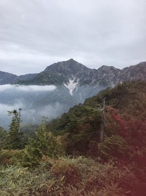 紅葉情報第一弾