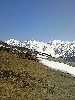 200705141100000.jpg