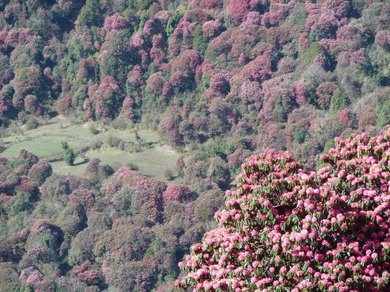 image005.jpg