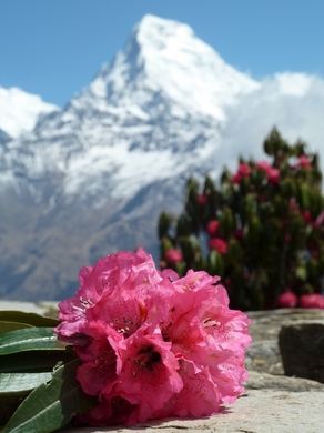 image013.jpg