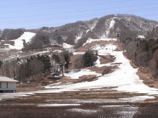 雪溶けすぎ スキー場が 白馬ハイランドホテル スタッフブログ