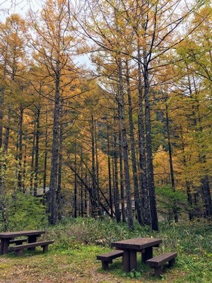 s-IMG_7186.jpg