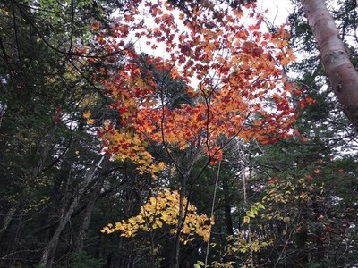 s-IMG_7225.jpg